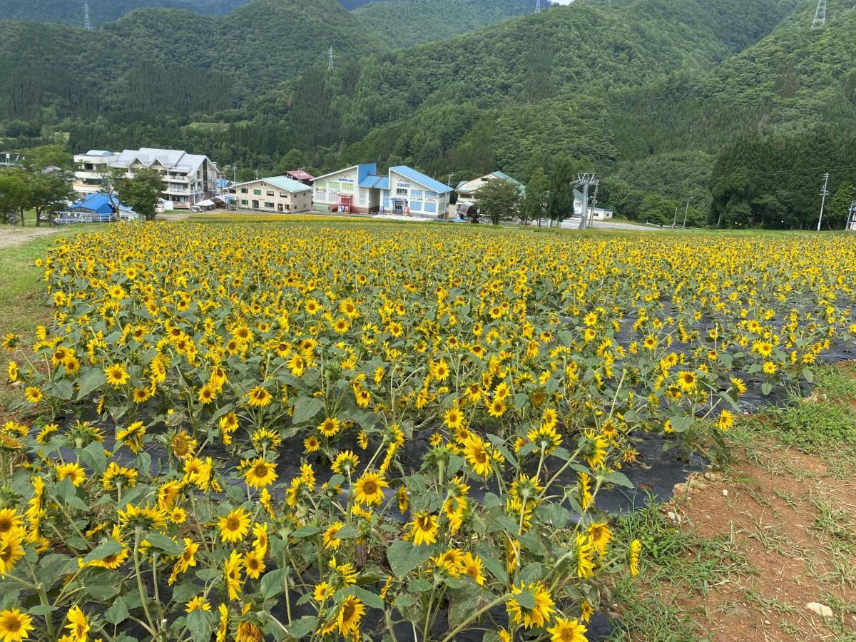 花緑里-Hanamidori-乙原のやど 岐阜下呂温泉郡上飛騨金山湖畔リゾート Gujo Eksteriør bilde